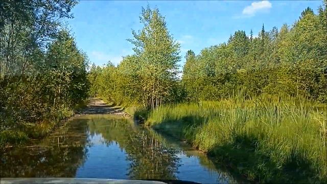 14 ноября 2023 г. смотреть онлайн