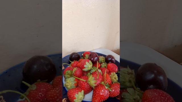 Новости часа, 17.8.23 в 7.00 смотреть онлайн