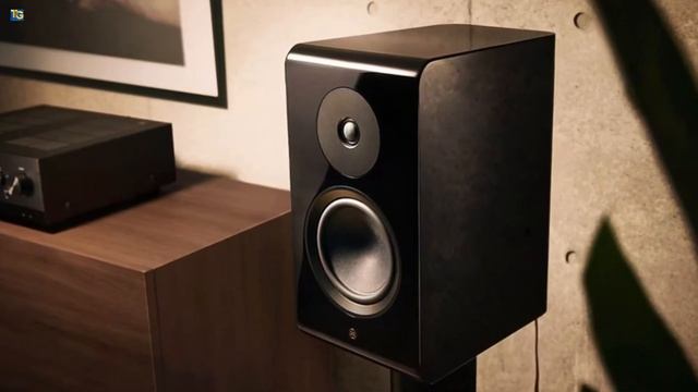 Yamaha NS-800A 2-Way Bookshelf Speaker Review - A Luxurious Sonic Masterpiece