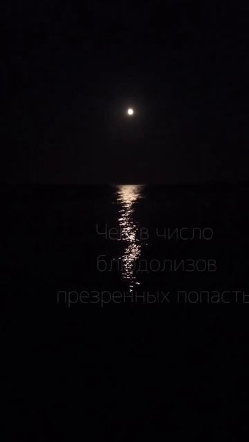 О. Хайям Мудрости, Высказывания! #цитаты #мотивация #shorts #отношения #рек #рекомендации #short смотреть онлайн