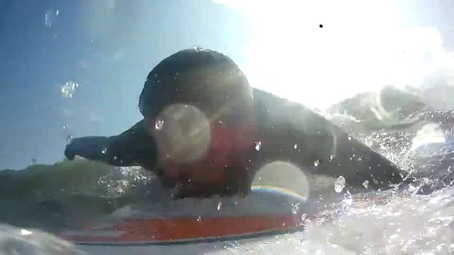 Bic/Tahe Magnum 8,4ft Surf Camera Test at Tynemouth смотреть онлайн
