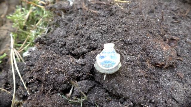 *Metal detecting a forking real treasure for a change! (2018/11) смотреть онлайн