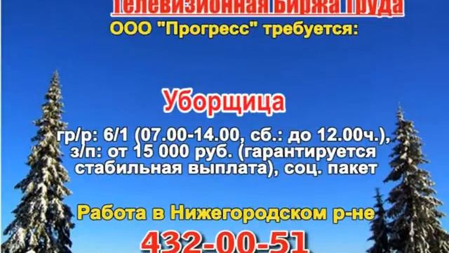 4 февраля_17.40_РАБОТА В НИЖНЕМ НОВГОРОДЕ_Телевизионная Биржа Труда смотреть онлайн