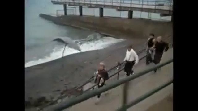 Ленинград группа крови ( клевый клип) смотреть онлайн