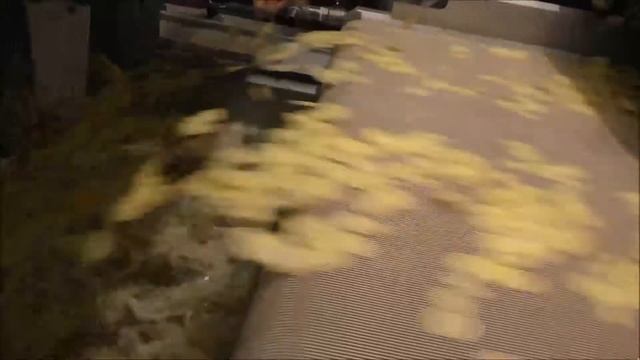 Rosenqvists Batch Fryer System смотреть онлайн