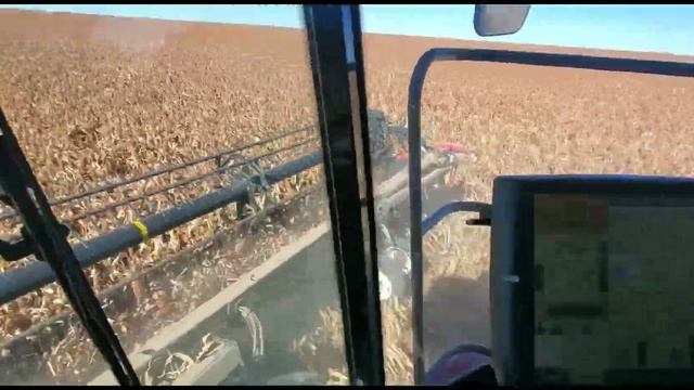 Case IH 8240 45" 2152 draper смотреть онлайн