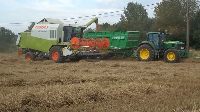 Landbouwhaspengouw- Pikdorsen met de Claas Medion 340 Peuskens смотреть онлайн
