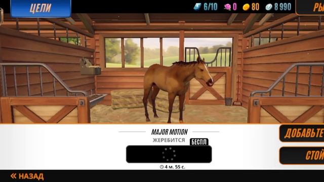 У меня была лошадь 🐎на хвосте :Играем в гонки на лошадках 🐰💕💖 смотреть онлайн