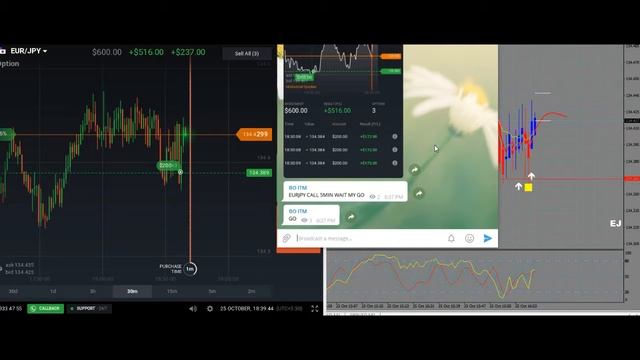 Best Binary options live Trading Signals-Telegram Today Proof Part 18 смотреть онлайн