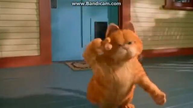Смешной рыжий котик снимает свой клип смотреть онлайн