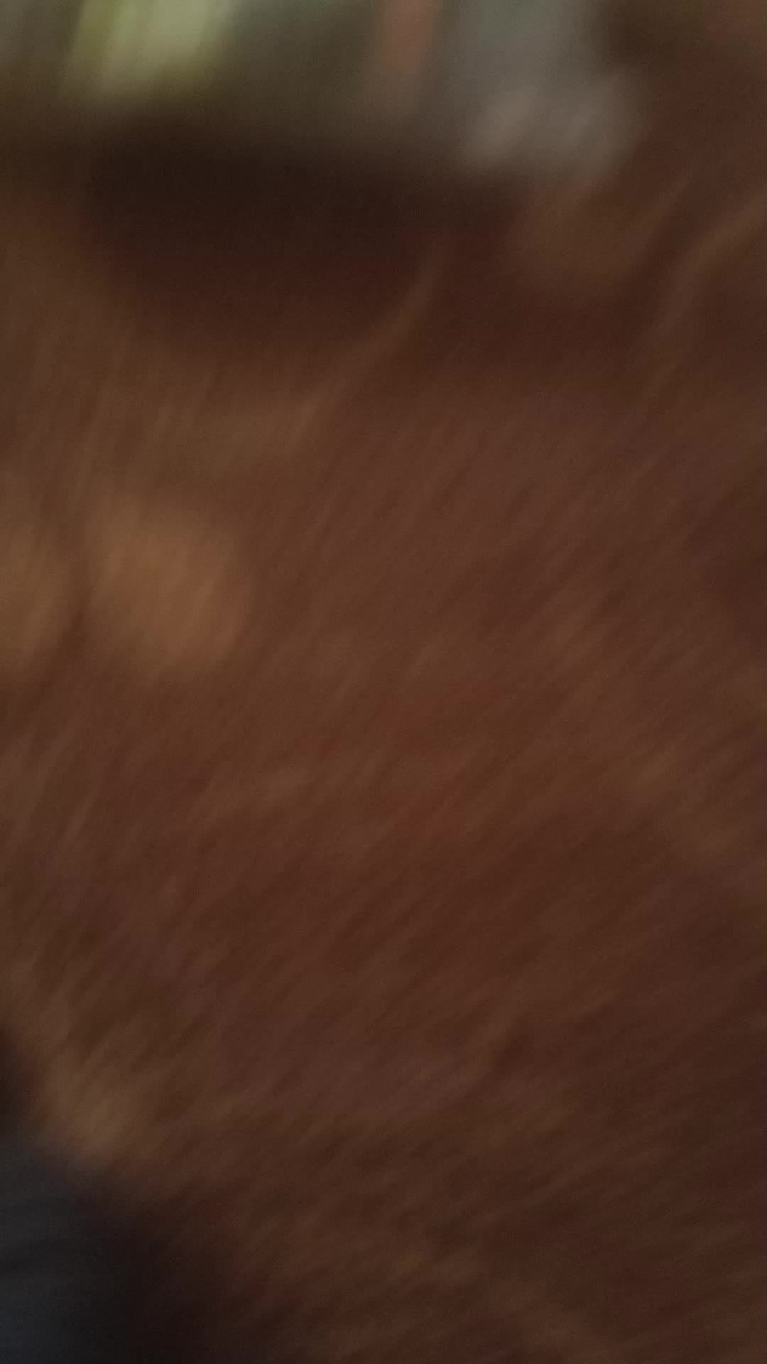 Лего