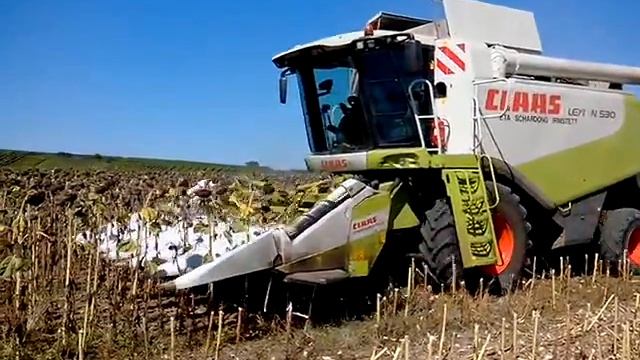 Battage tournesol 2013 CLAAS Conspeed смотреть онлайн