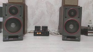 Акустика Вега 35ас - 105-1