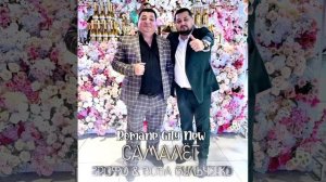 грофо & вова вульченко - самалёт премьера 2025 цыганская песня