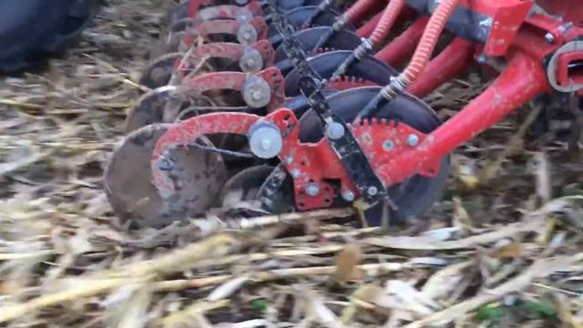 Horsch Avatar смотреть онлайн