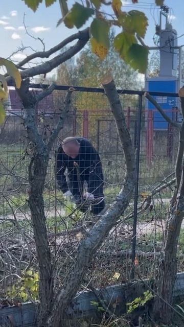 Poulan 2150 для авито смотреть онлайн