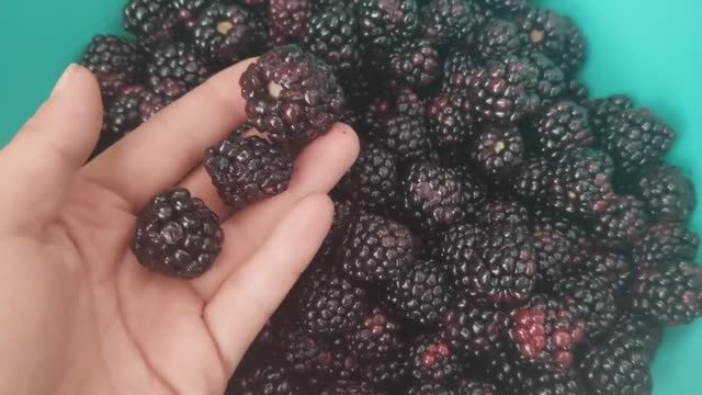 😋  Самый ПРОСТОЙ рецепт ЕЖЕВИЧНОГО варенья