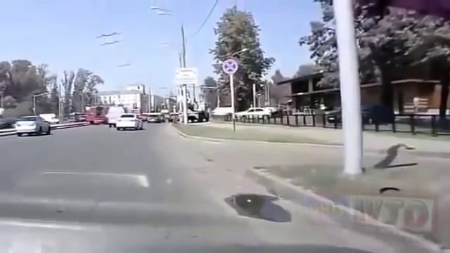 Осторожно, тупые дуры на дороге и за рулем смотреть онлайн