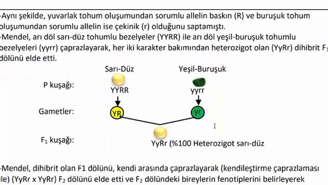 genetik 1 смотреть онлайн