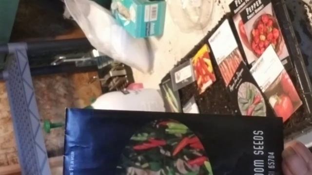 2021 seed starting hot peppers & Dollar Tree complete kit смотреть онлайн