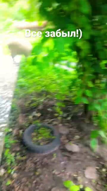 #сельскаяжизнь #татьяна #овцы #найда смотреть онлайн