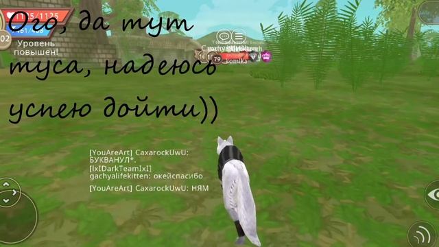 "24 Часа" Без кнопки бег (🐾Что тот пацан творит?! 👌🏻) WildCraft смотреть онлайн