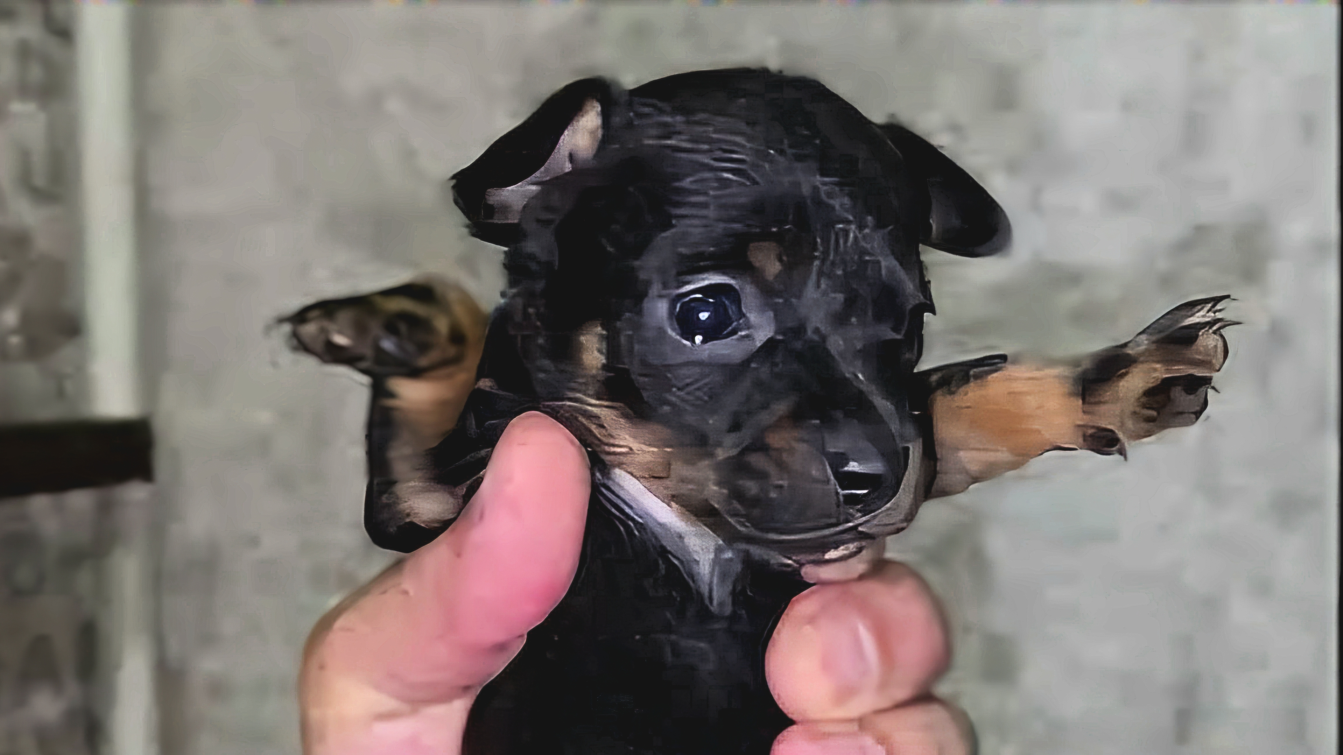 Щенки Русского Той Терьера 01-02-2025 смотреть онлайн