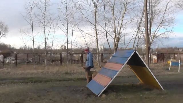 Мое измененное видео комплекс смотреть онлайн