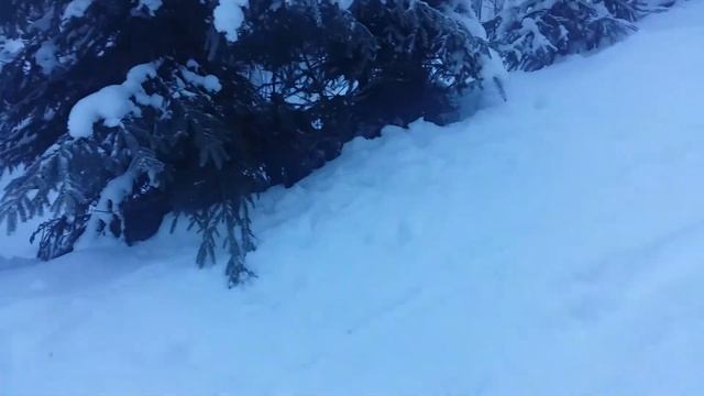 Ясиня. День 4. Лесная стена. смотреть онлайн