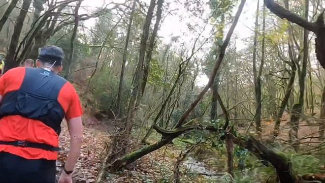 Menestrail 2019 24 km смотреть онлайн