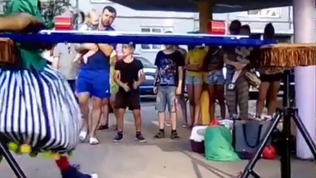 Дрессированные хорьки смотреть онлайн