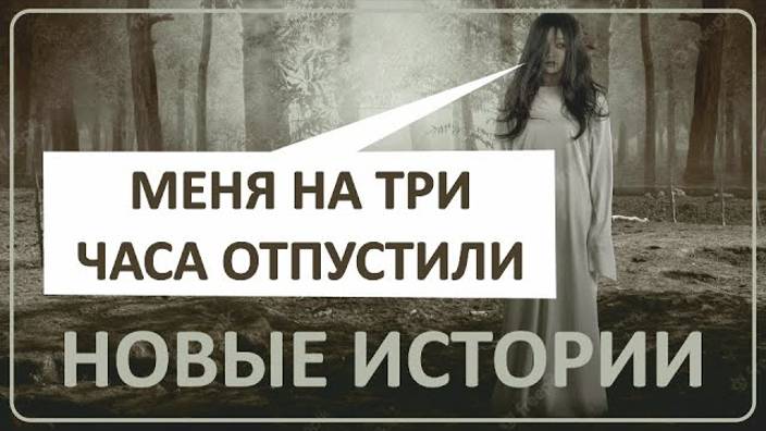 035 Новые истории наших зрителей смотреть онлайн