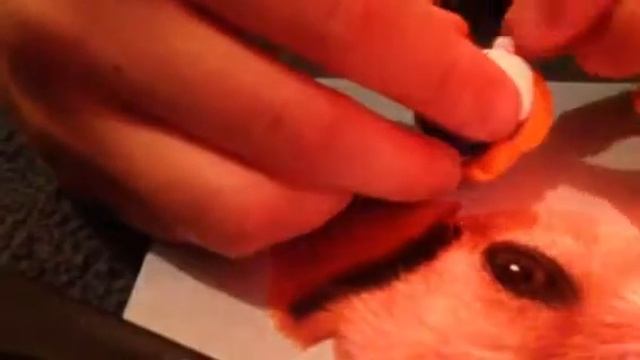 DIY fish bowl смотреть онлайн