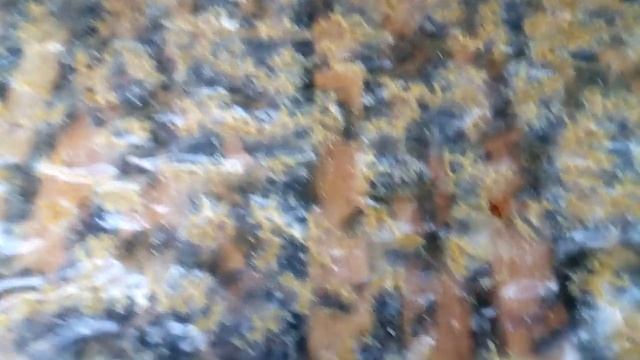 Пасека! Пчёлы сами готовятся к зимовке! смотреть онлайн