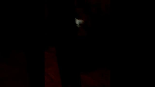 Т. Б. И. Опять ужас и страх меня преследуют. смотреть онлайн