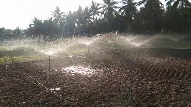 Butterfly Sprinkler | Water Irrigation System | Suitable for all Crops | Butterfly Sprinkler Setup смотреть онлайн