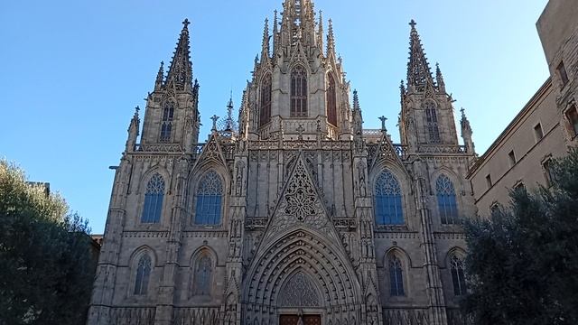 Кафедральный собор Барселоны  11.01.2025 года