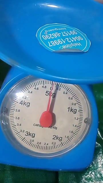 5KG WEIGHING SCALE PRICE & DETAILS смотреть онлайн