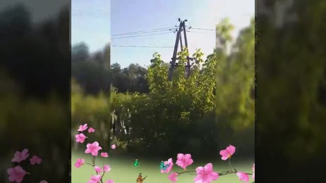 Мачити родники 11 08 2019 смотреть онлайн