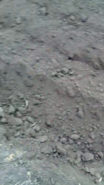 Трактор запахеваю солому смотреть онлайн