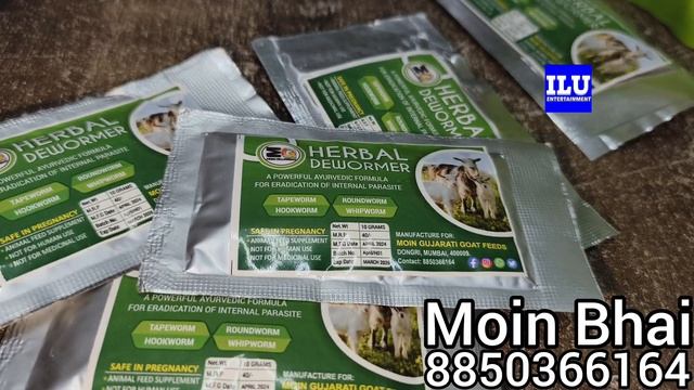 Bakro Ka chahiye Max Result Abb khilaao Moin Maxxx Goat Weight Gainer || Moin Gujrati Feed Mumbai | смотреть онлайн