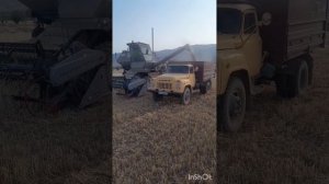 уборка пшеница камбайн нива эффект