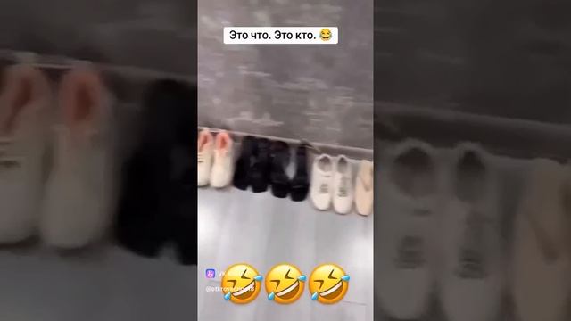 Чем отличается гардероб мужчины и женщины смотреть онлайн