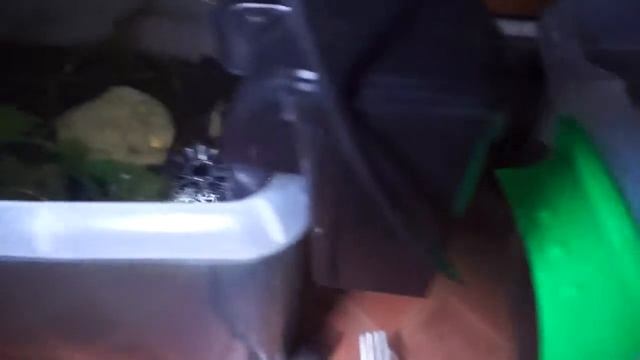 rabbit snail - basic tank смотреть онлайн