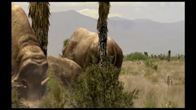 TRILOGY OF LIFE - Walking with Beasts - "Embolotherium andrewsi" смотреть онлайн
