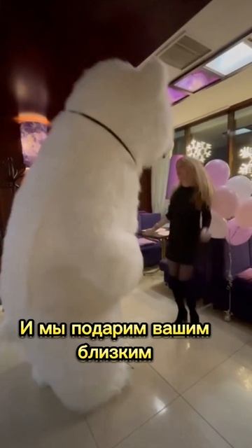 Поздравление белого мишки Эльбрус смотреть онлайн