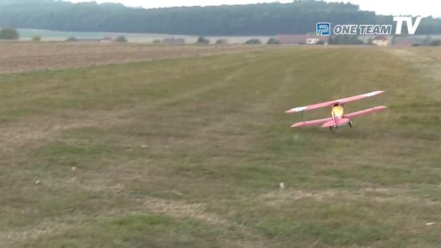 Dynam Albatros D.V 1270 Mm ARF