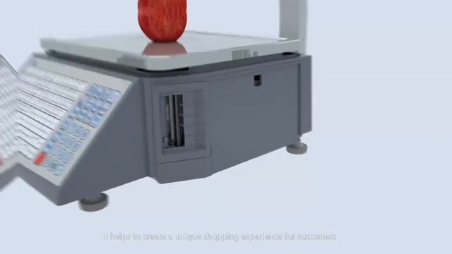 LS2X Barcode label Scale смотреть онлайн