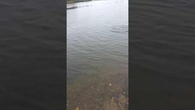 Большая щука 2103 смотреть онлайн