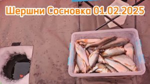 Зимняя рыбалка в Челябинской области Чебак